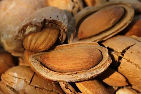 بهترین بادام درختی شکسته + قیمت خرید عالی